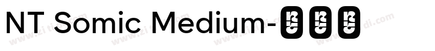 NT Somic Medium字体转换